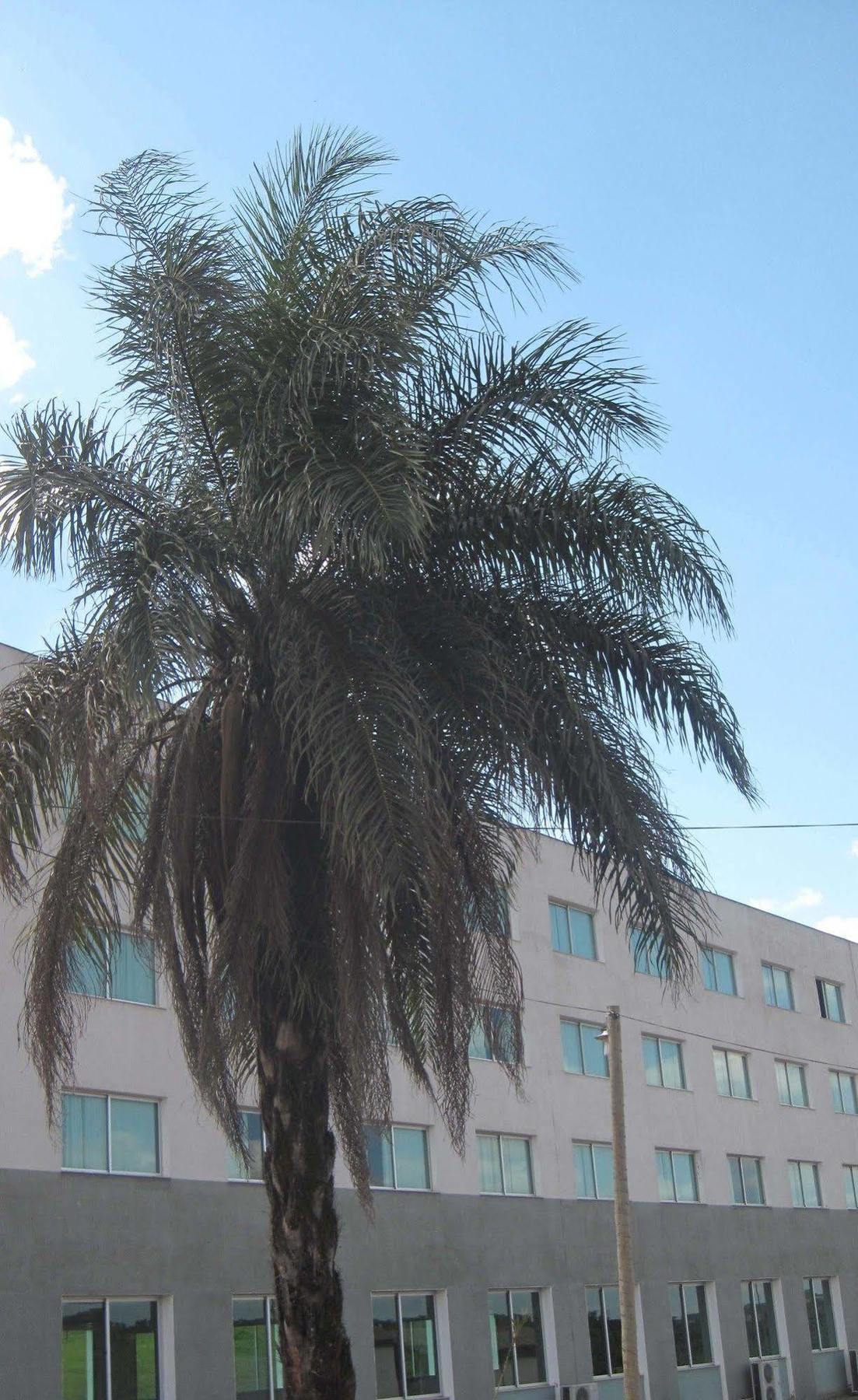 Hotel Mirante Sao Bras São Brás do Suaçuí Kültér fotó